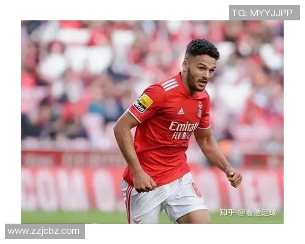 卖足球星卡能赚钱吗知乎分析市场前景与潜在收益